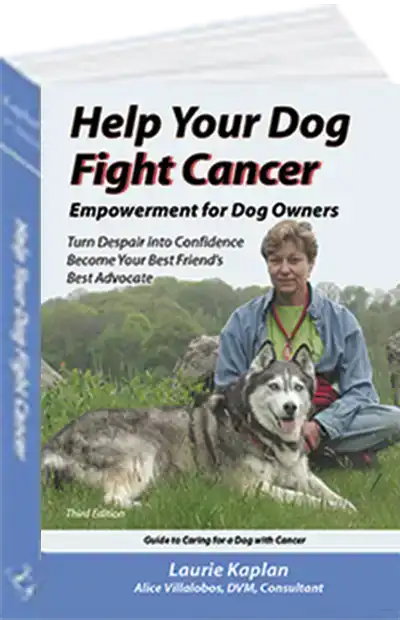 HYD book cover 400x600 1 Empowerment for Dog Owners