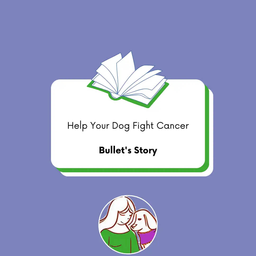 BullyStory Bullet's Story