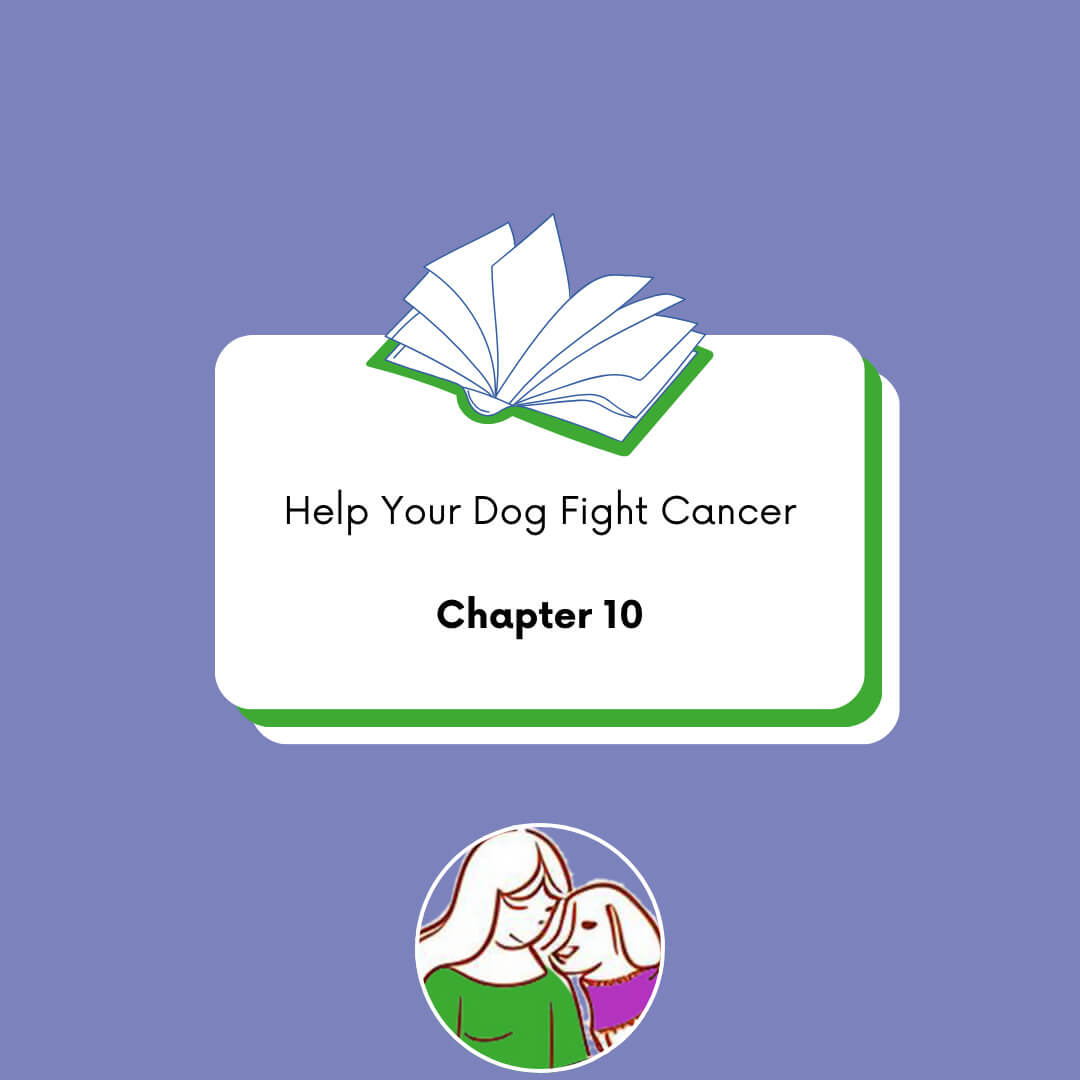 Ch10 Chapter 10: What's Your Dog Eating?