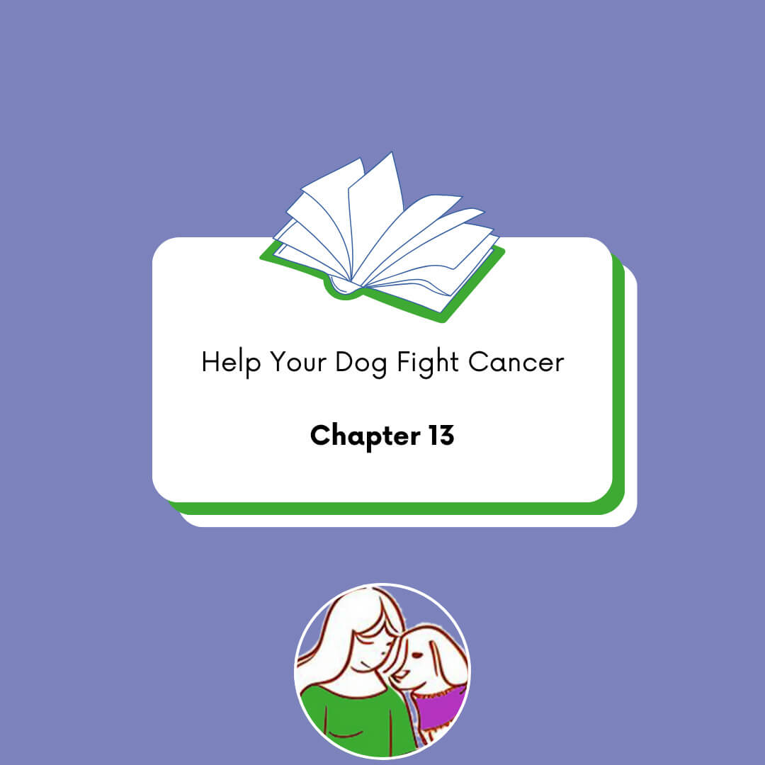 Ch13 Chapter 13: From Warrior to Angel