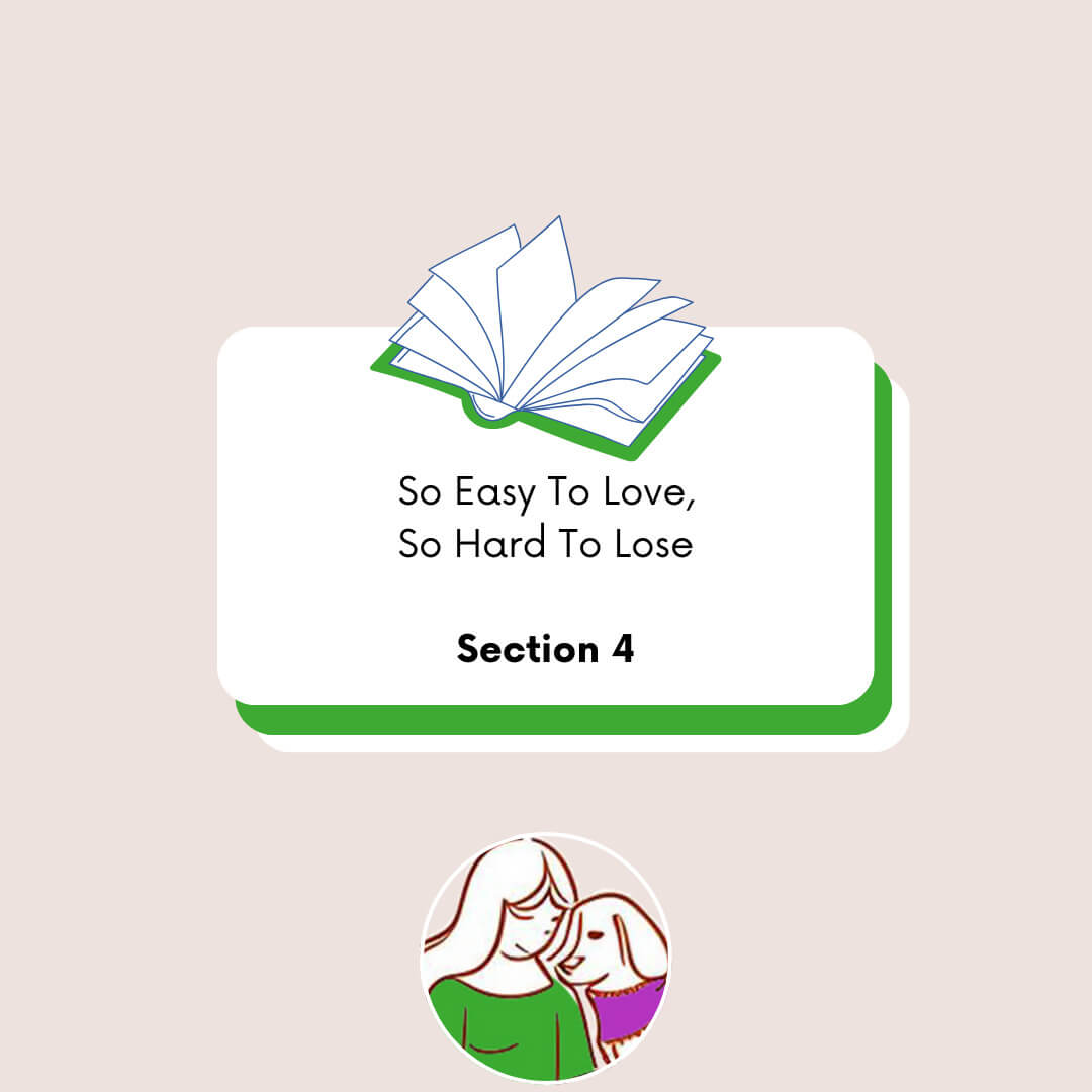 Sec4 Section 4: After the Loss