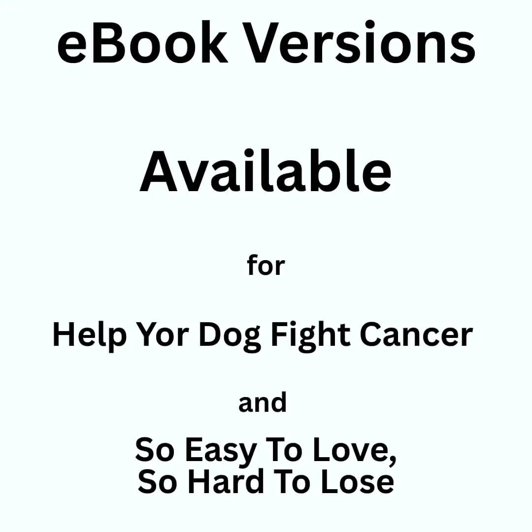 ebook versions eBooks