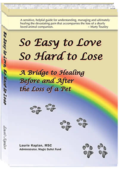 ez love cover 400x570 1 So Easy To Love, So Hard to Lose