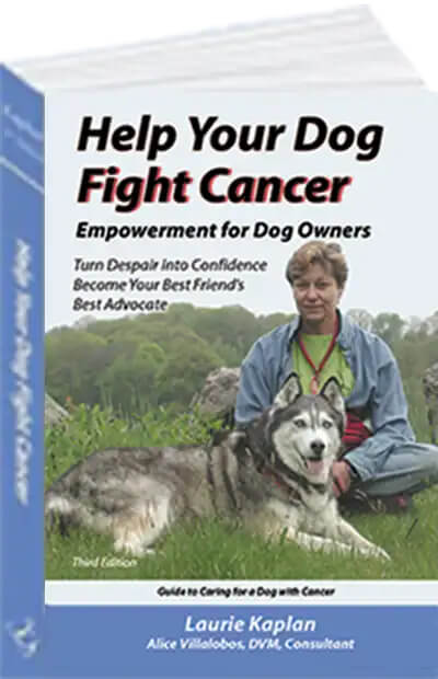 hyd cover 400x600 1 Empowerment for Dog Owners